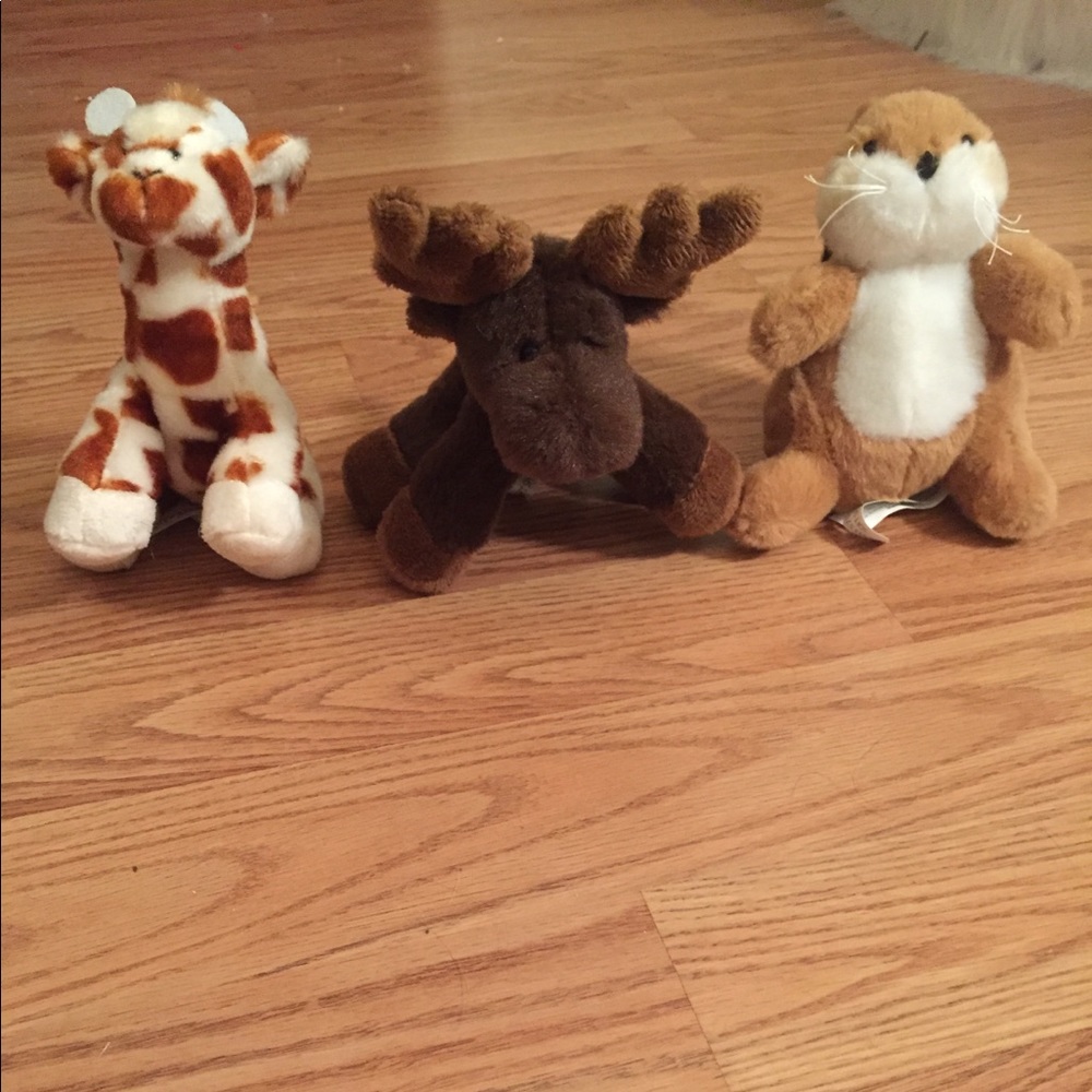 Stuffed animals